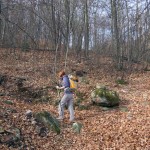 bivio traccia quota 700