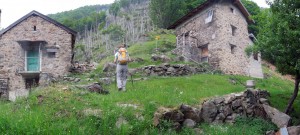 4-alpe-cortone