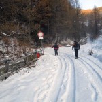 al-divieto-di-transito