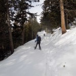 parte-alta-del-bosco