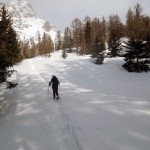 slargo-nel-bosco