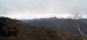 verso-il-massone