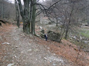 bivio-in-discesa-all'alpe-veidabia