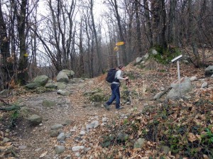 bivio-quota-463
