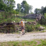 palina-e-masso-isolato
