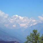 zoomata-sul-bianco