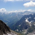 val-ferret