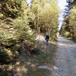 paline-alla-partenza