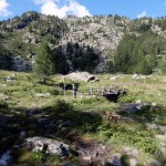 paline-al-ponte