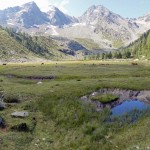 alla-torbiera