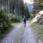 palina-quota-1326