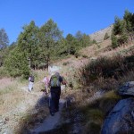 nel-canale-erboso