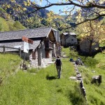 alpe-la-motta