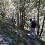 bivio-quota-1233