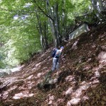 bivio-quota-1341
