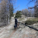 uscita-dal-bosco