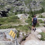 bivio-quota-2338