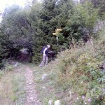 bivio-quota-1569