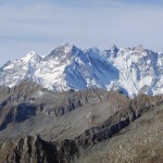 zoomata-sul-rosa