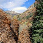 valle-cortino