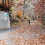bivio-quota-1205