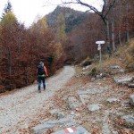 bivio-quota-1256