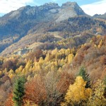la-scheggia