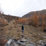 uscita-dal-bosco
