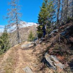 deviazione-monte-ziccher