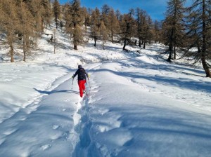 verso-il-lariceto