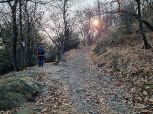 biforcazione-quota-265