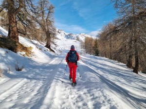 nel-lariceto