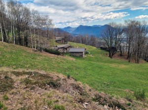 alpe-trebina