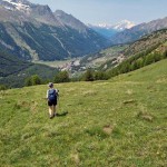 verso-il-bosco