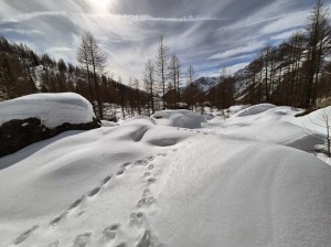 molta-neve