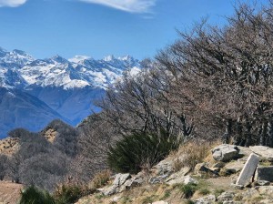 alphubel-lenzspitze-e-dom