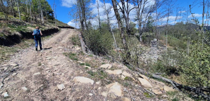 alpe-torriggia