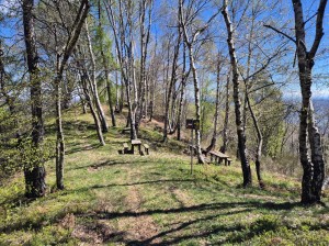 area-picnic