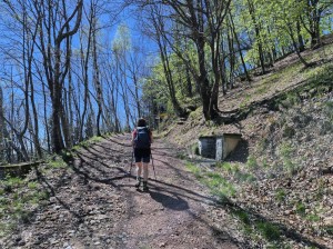 bivio-quota-1142