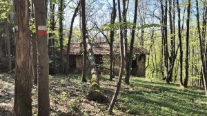cascina-incise
