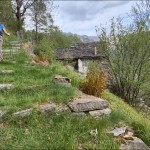 alpe-daloch