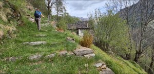 alpe-daloch