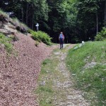 bocchetta-di-foglia