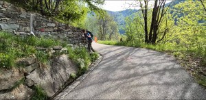 sentiero-alla-strada-asfaltata