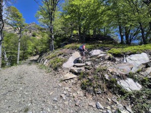 bivio-quota-1296