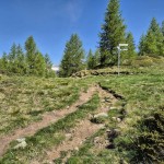 colle-cheneil