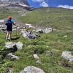 verso-il-pendio-erboso