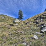 canale-erboso canale-erboso