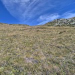 ampia-insellatura ampia-insellatura