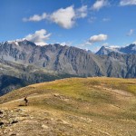 velan-e-mont-gele velan-e-mont-gele